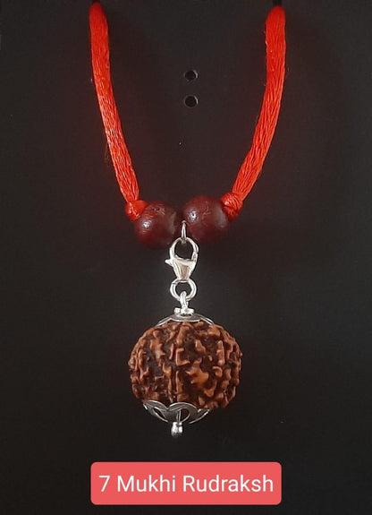 7 Mukhi Rudraksha Silver Capped Pendant